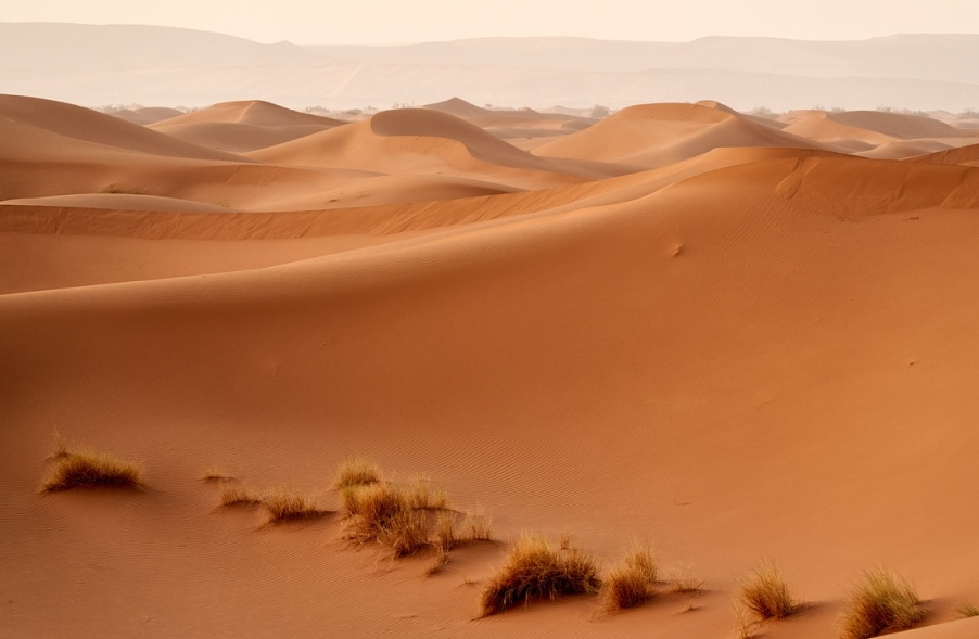 Zakątek niezgłębionych tajemnic - Sahara Zachodnia, wciągający region Afryki - 1 2024